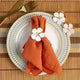 Ronds de Serviette