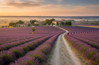 sinon-une-photo-de-paysage